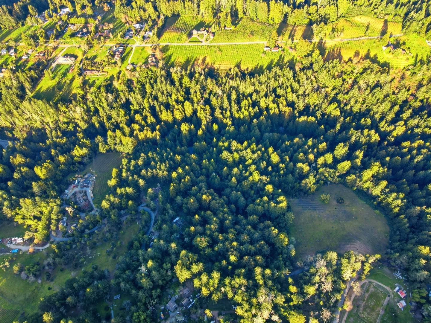 Detail Gallery Image 7 of 13 For 24580 Loma Prieta Ave, Los Gatos,  CA 95033 - 2 Beds | 1 Baths
