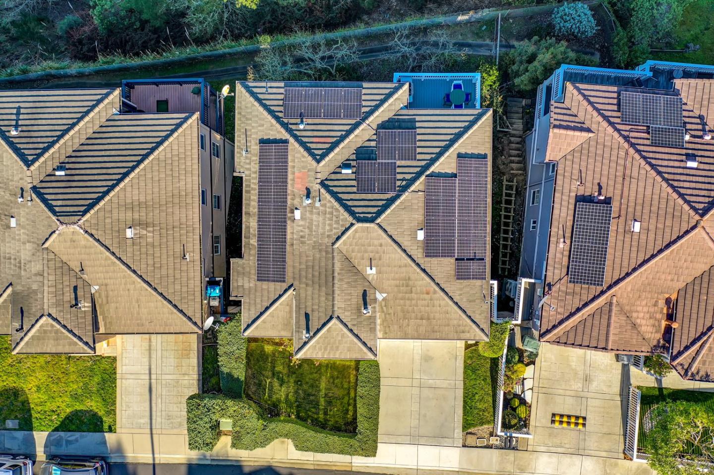 Detail Gallery Image 59 of 68 For 228 Goodwin Dr, San Bruno,  CA 94066 - 4 Beds | 2/1 Baths