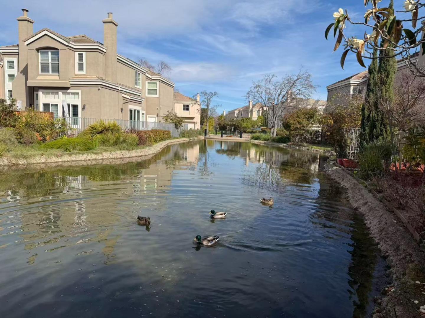 Detail Gallery Image 45 of 75 For 1 Mandalay Ct, Redwood City,  CA 94065 - 4 Beds | 3 Baths