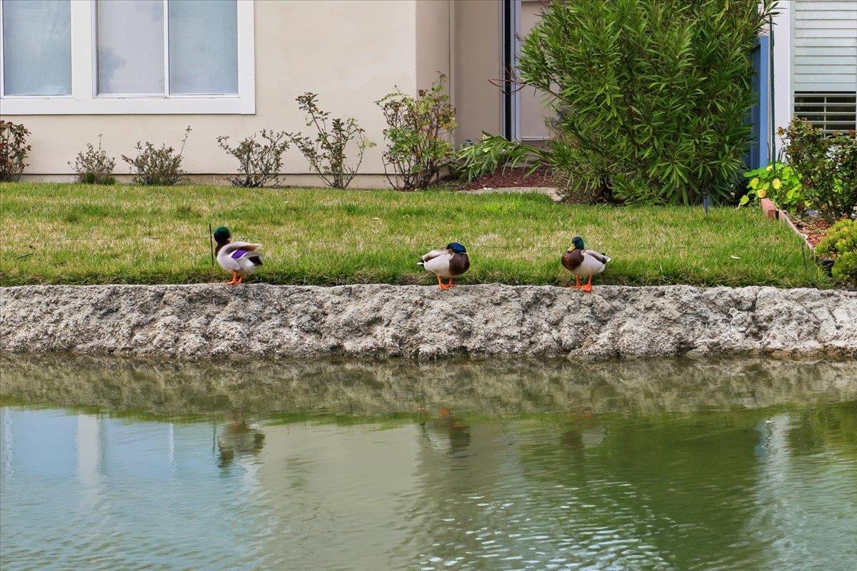 Detail Gallery Image 59 of 75 For 1 Mandalay Ct, Redwood City,  CA 94065 - 4 Beds | 3 Baths