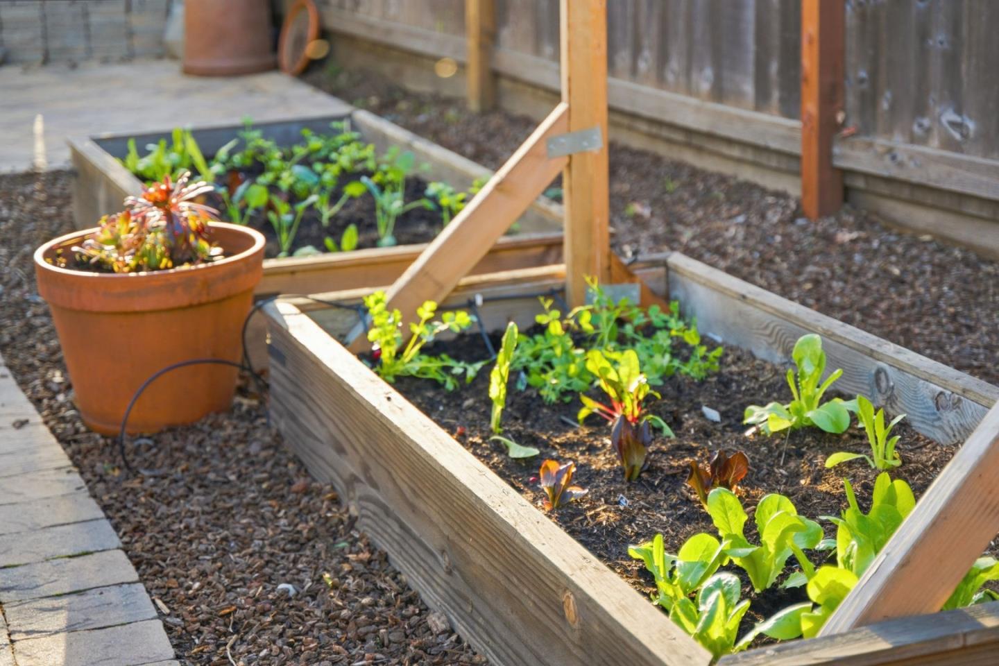 Detail Gallery Image 21 of 22 For 957 E Grant Pl, San Mateo,  CA 94402 - 2 Beds | 1 Baths