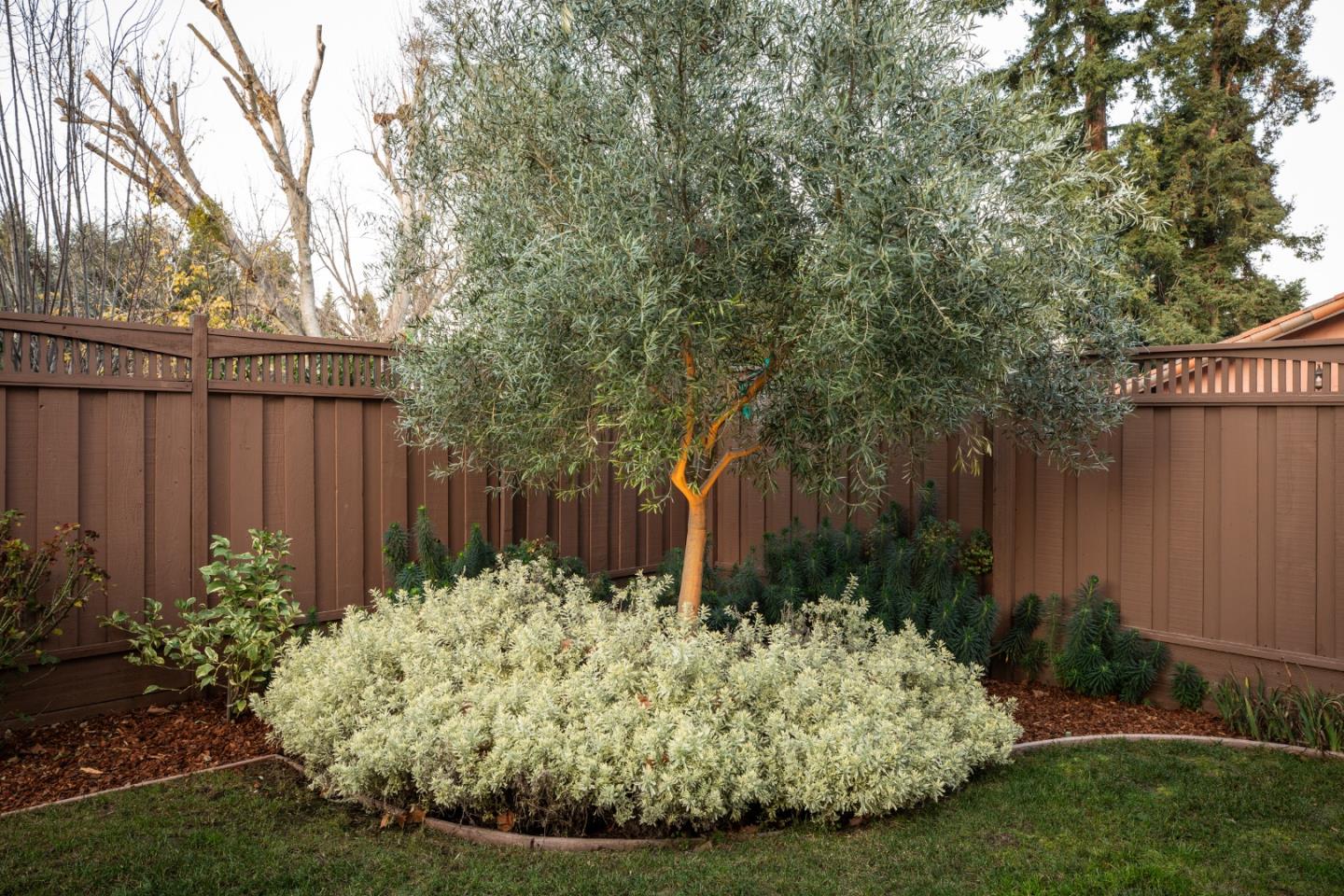 Detail Gallery Image 48 of 54 For 1335 Glenwood Ave, San Jose,  CA 95125 - 5 Beds | 3/1 Baths