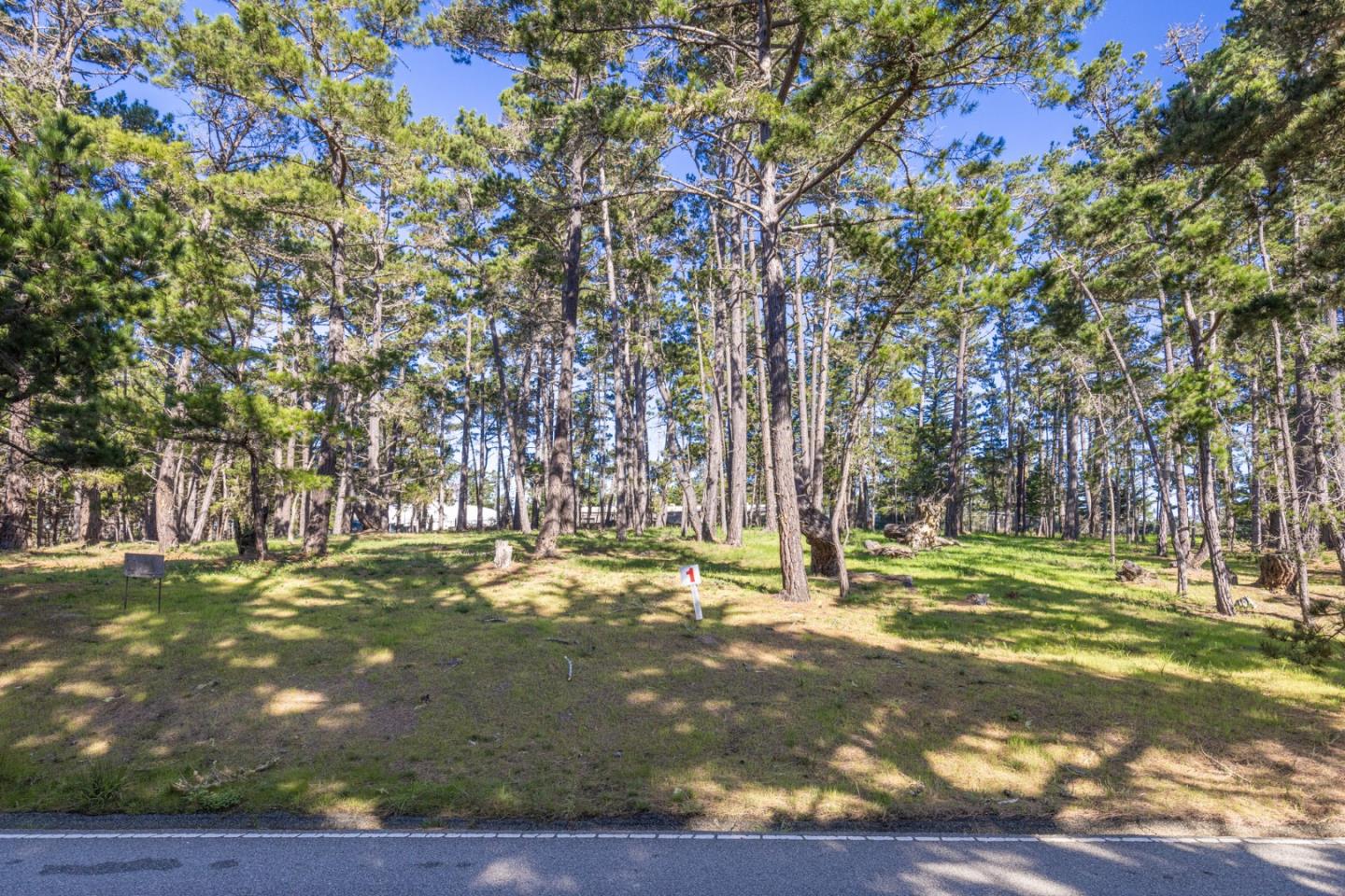 Detail Gallery Image 5 of 12 For 1401 Viscaino Rd, Pebble Beach,  CA 93953 - – Beds | – Baths