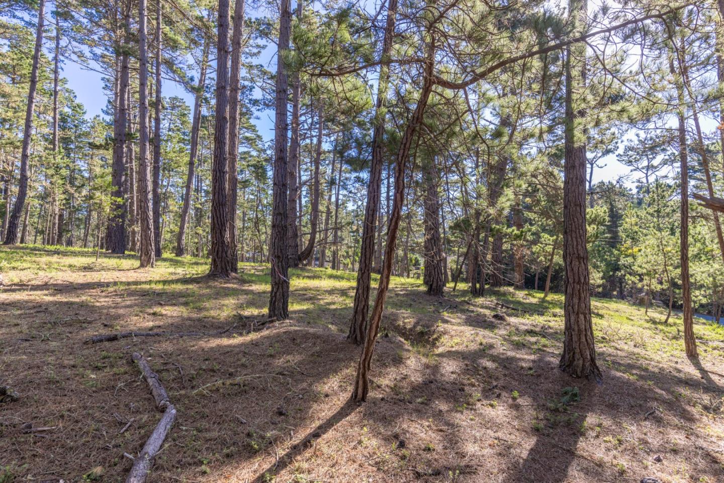 Detail Gallery Image 8 of 12 For 1401 Viscaino Rd, Pebble Beach,  CA 93953 - – Beds | – Baths