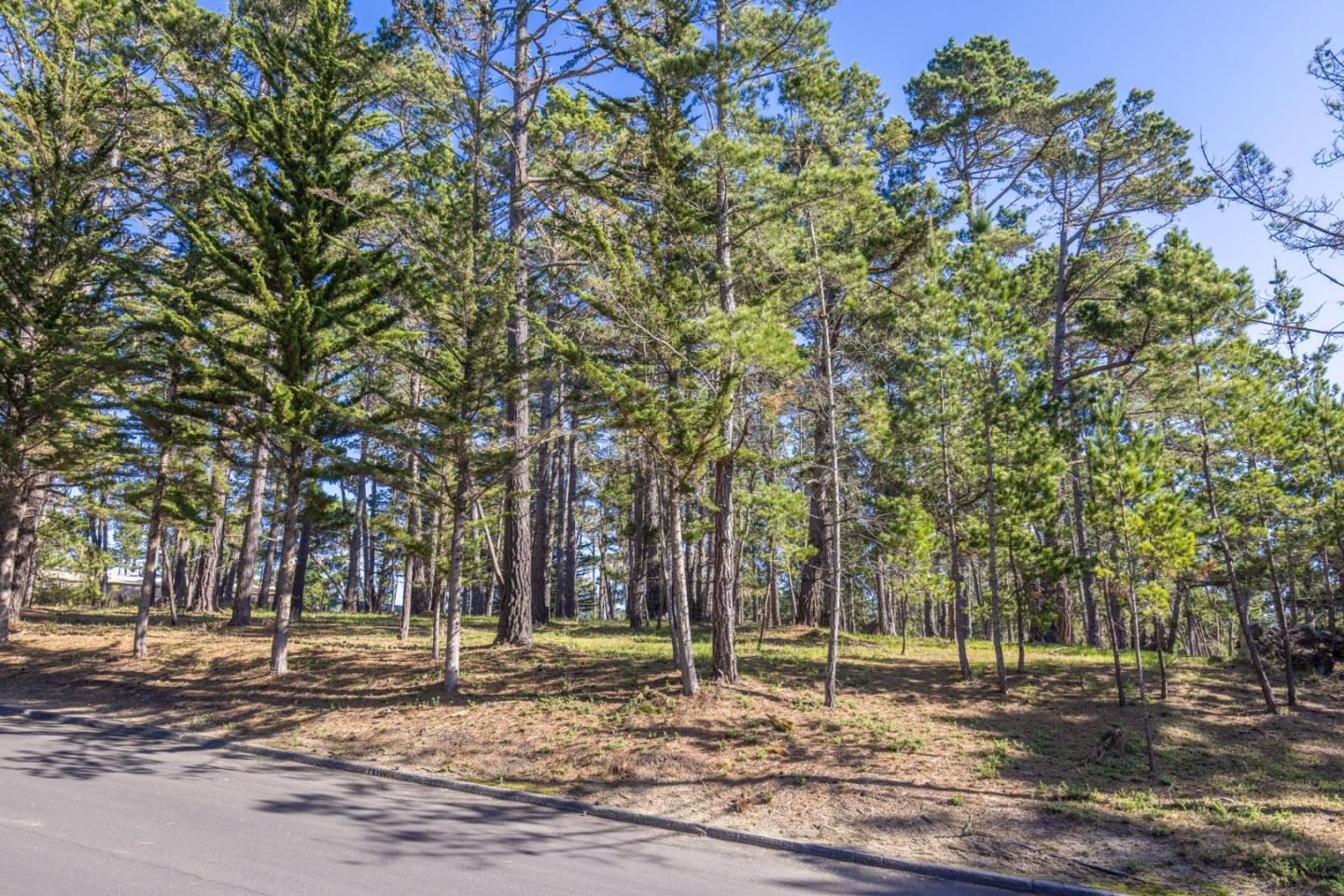 Detail Gallery Image 9 of 12 For 1401 Viscaino Rd, Pebble Beach,  CA 93953 - – Beds | – Baths