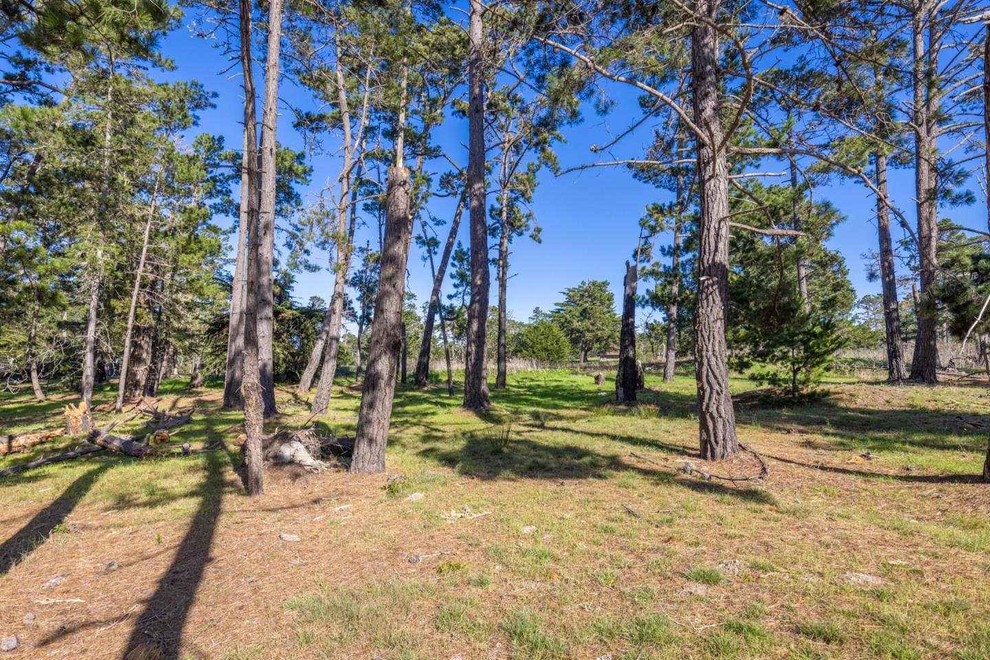 Detail Gallery Image 7 of 10 For 1407 Viscaino Rd, Pebble Beach,  CA 93953 - – Beds | – Baths