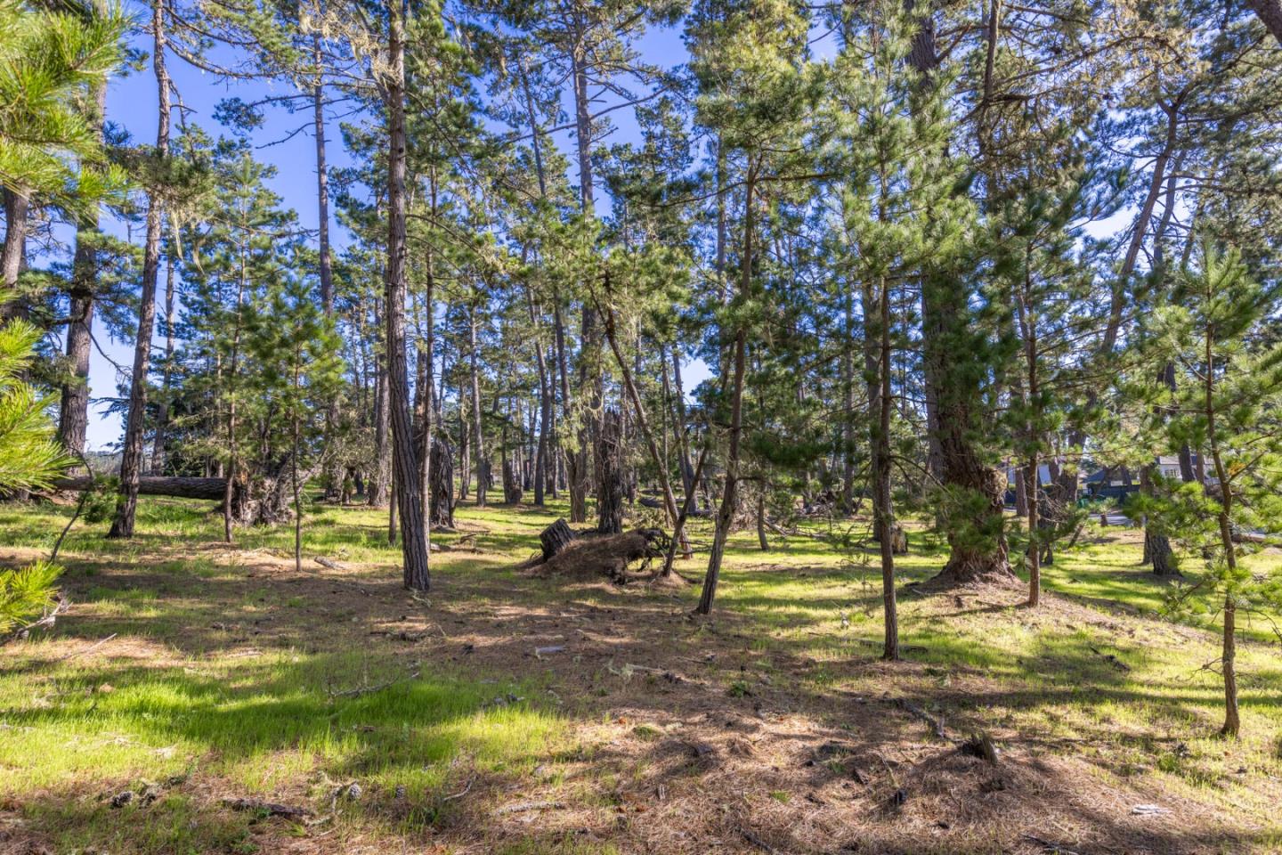 Detail Gallery Image 8 of 10 For 1407 Viscaino Rd, Pebble Beach,  CA 93953 - – Beds | – Baths