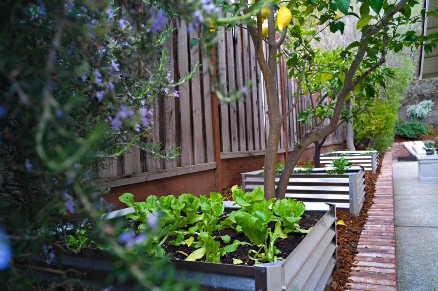 Detail Gallery Image 61 of 68 For 21685 Regnart Rd, Cupertino,  CA 95014 - 4 Beds | 2/1 Baths