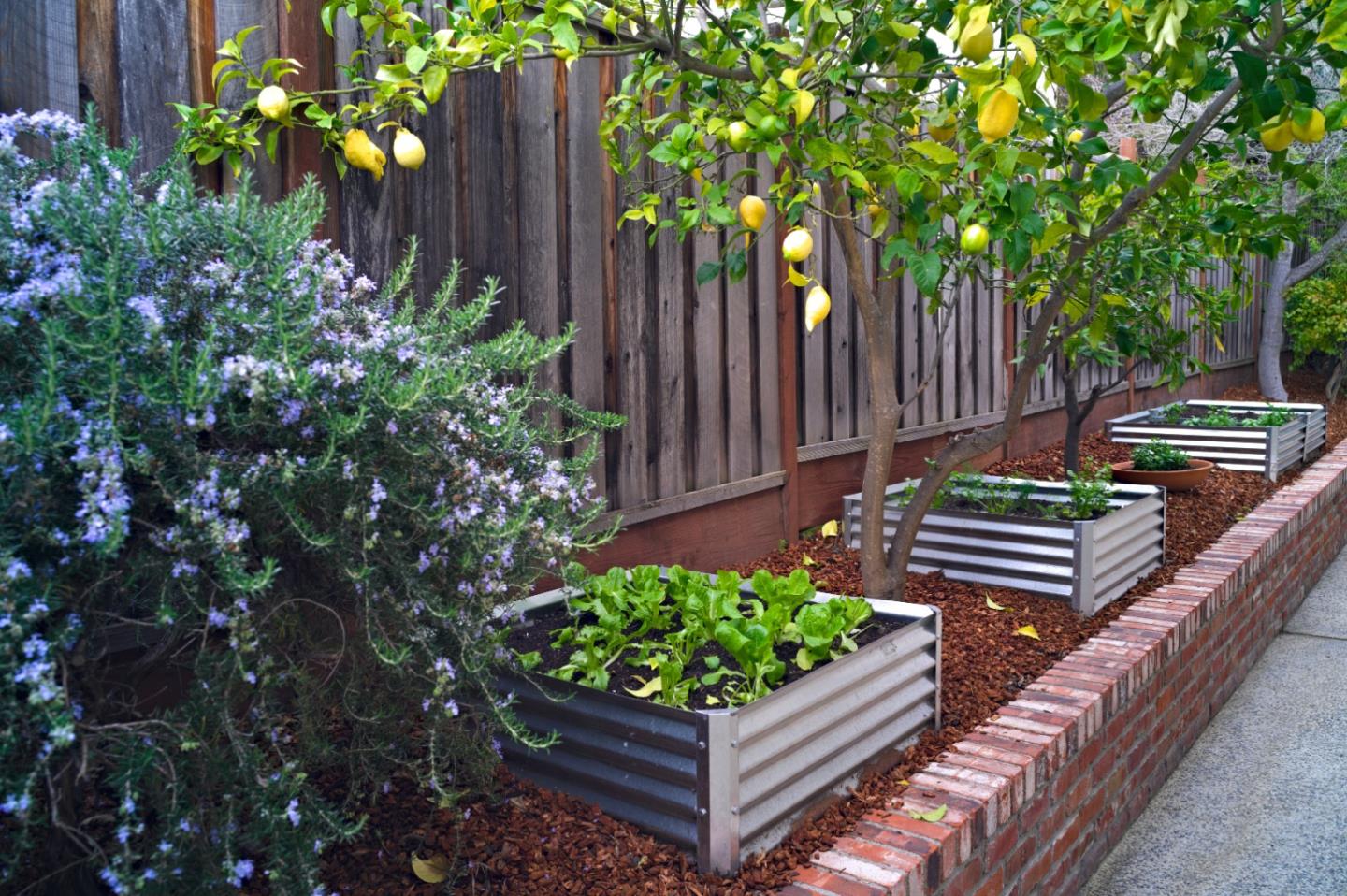 Detail Gallery Image 62 of 68 For 21685 Regnart Rd, Cupertino,  CA 95014 - 4 Beds | 2/1 Baths