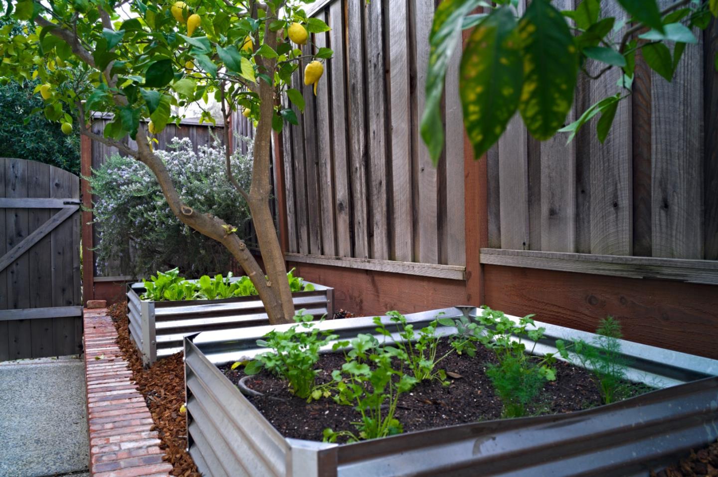 Detail Gallery Image 64 of 68 For 21685 Regnart Rd, Cupertino,  CA 95014 - 4 Beds | 2/1 Baths