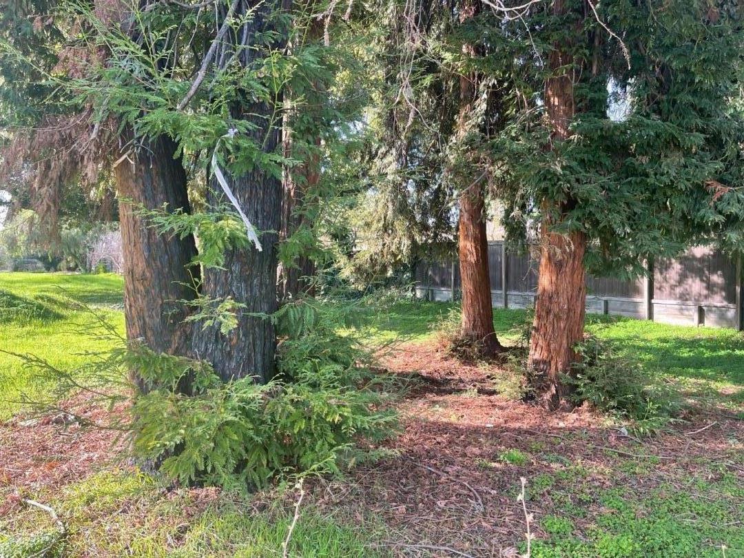 Detail Gallery Image 6 of 13 For 28538 Huntwood Ave, Hayward,  CA 94544 - – Beds | – Baths