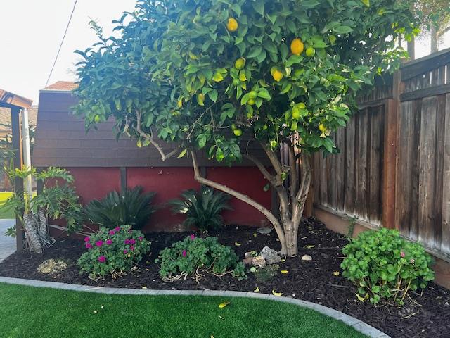 Detail Gallery Image 11 of 17 For 1406 Dentwood Dr, San Jose,  CA 95118 - 3 Beds | 2 Baths