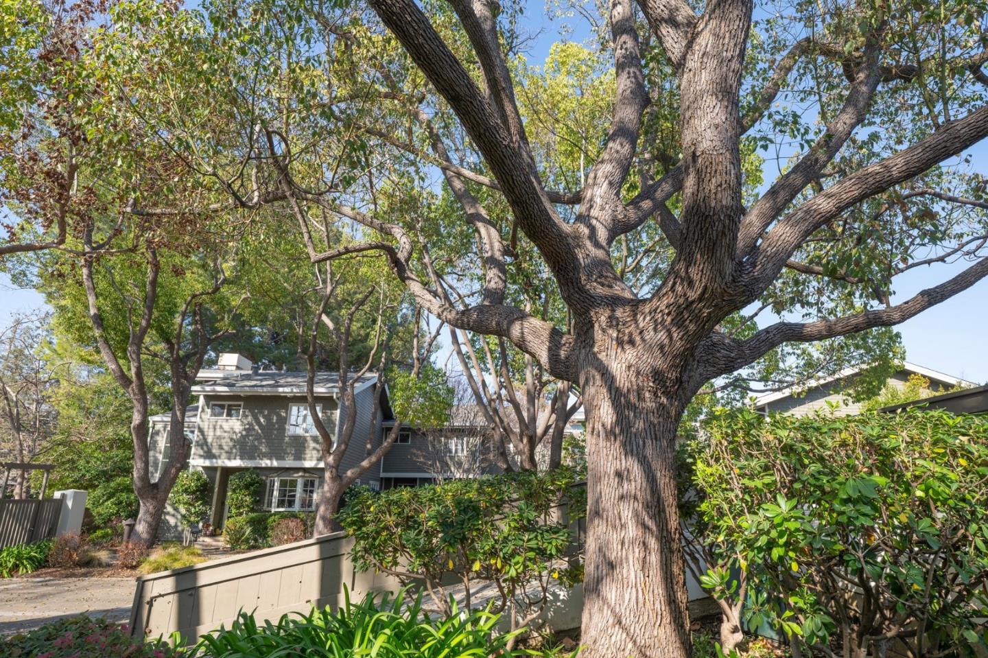 Detail Gallery Image 31 of 41 For 708 University Dr, Menlo Park,  CA 94025 - 2 Beds | 2/1 Baths