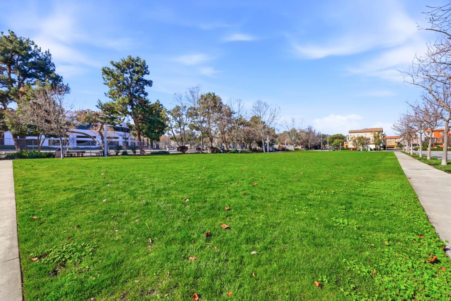 Photo #70: ML82034311 Listing: Photo #70