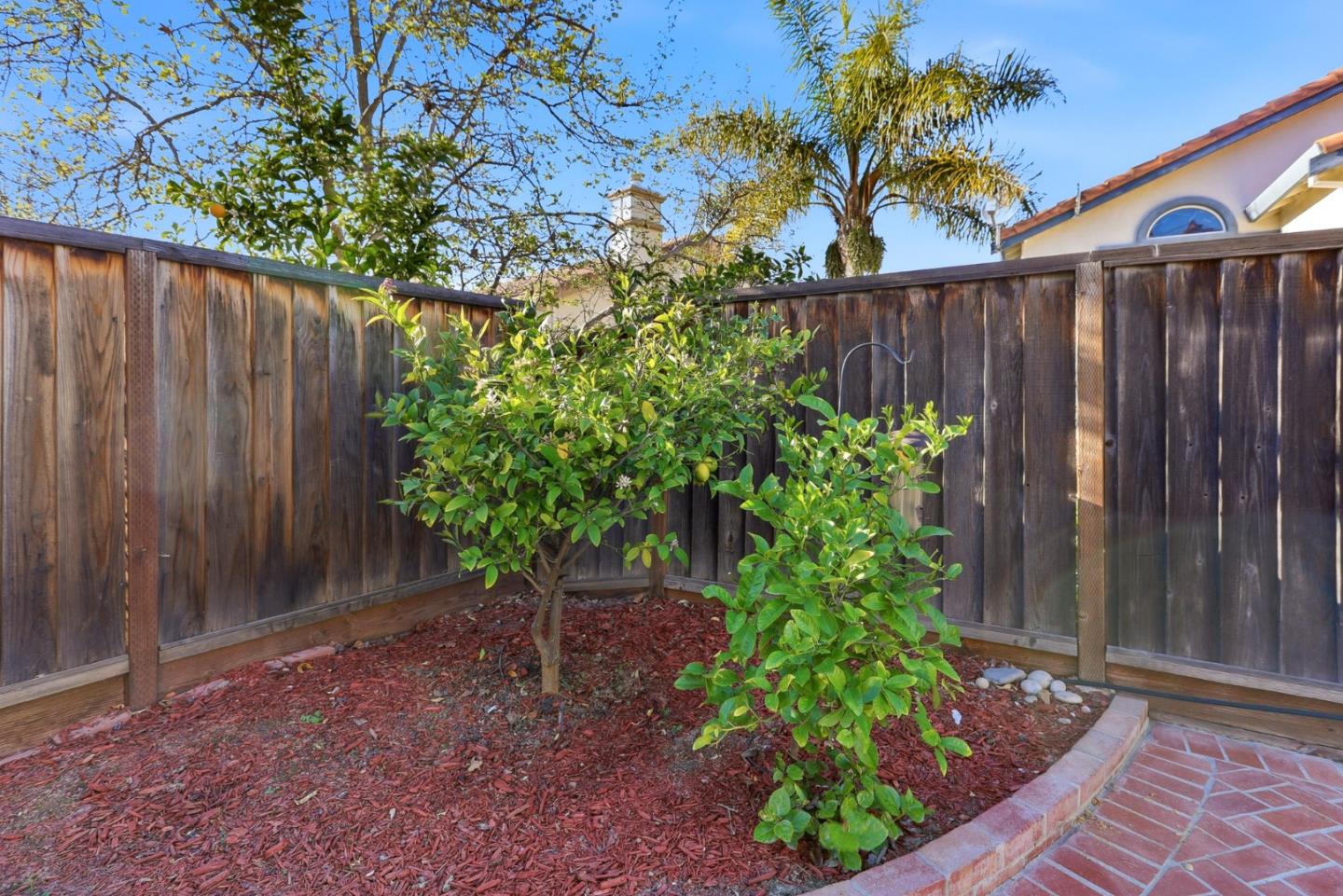 Detail Gallery Image 85 of 100 For 3283 Placido Ct, San Jose,  CA 95135 - 4 Beds | 3 Baths