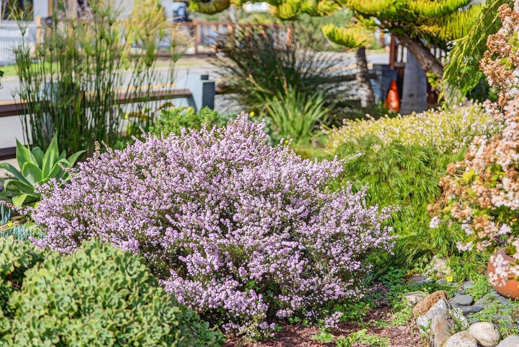 Detail Gallery Image 55 of 61 For 1021 Webster St, Santa Cruz,  CA 95062 - 3 Beds | 2/1 Baths