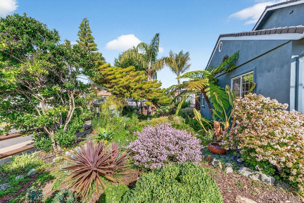 Detail Gallery Image 58 of 61 For 1021 Webster St, Santa Cruz,  CA 95062 - 3 Beds | 2/1 Baths