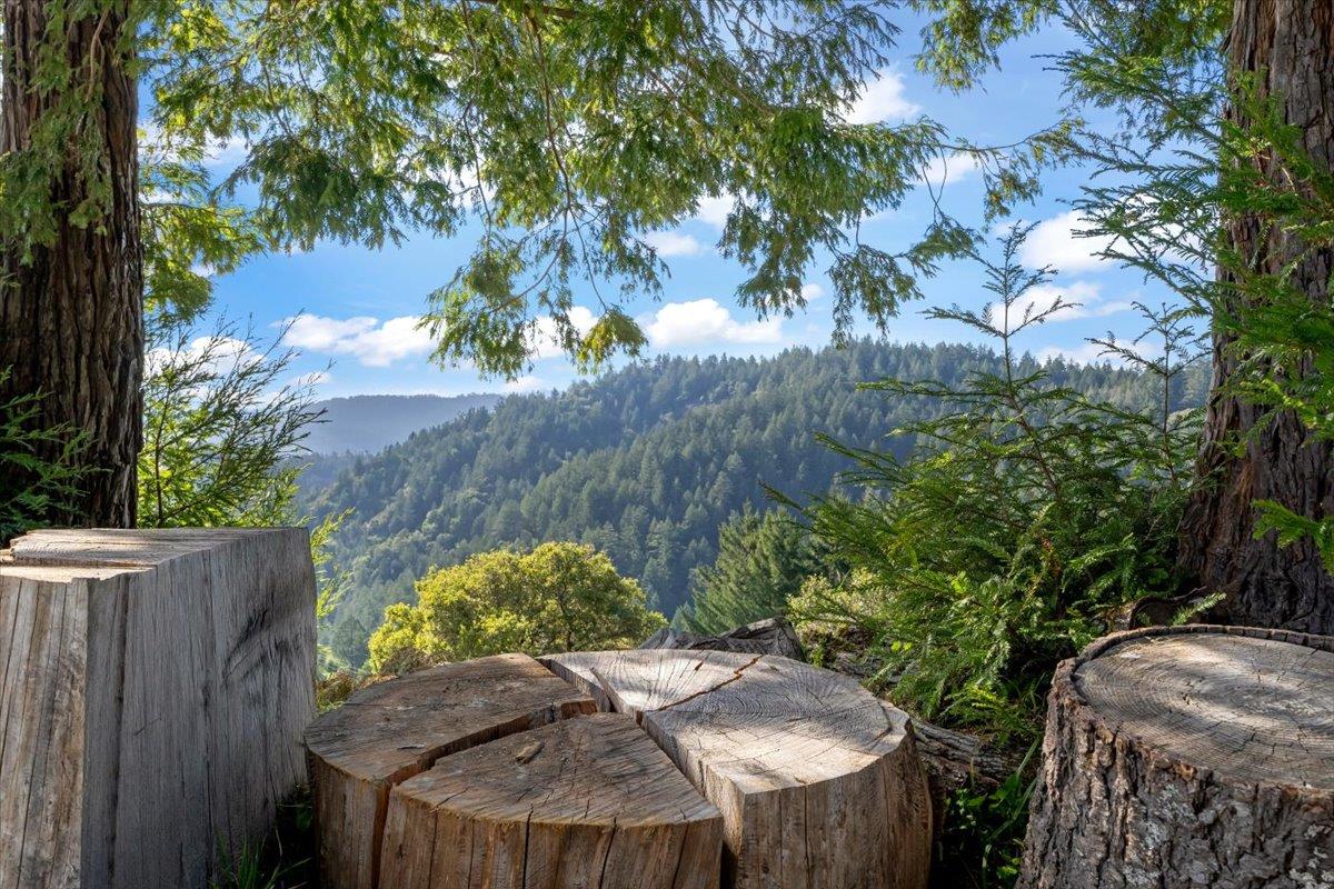 Detail Gallery Image 41 of 48 For 12336 Indian Rock Way, Los Gatos,  CA 95033 - 4 Beds | 3 Baths