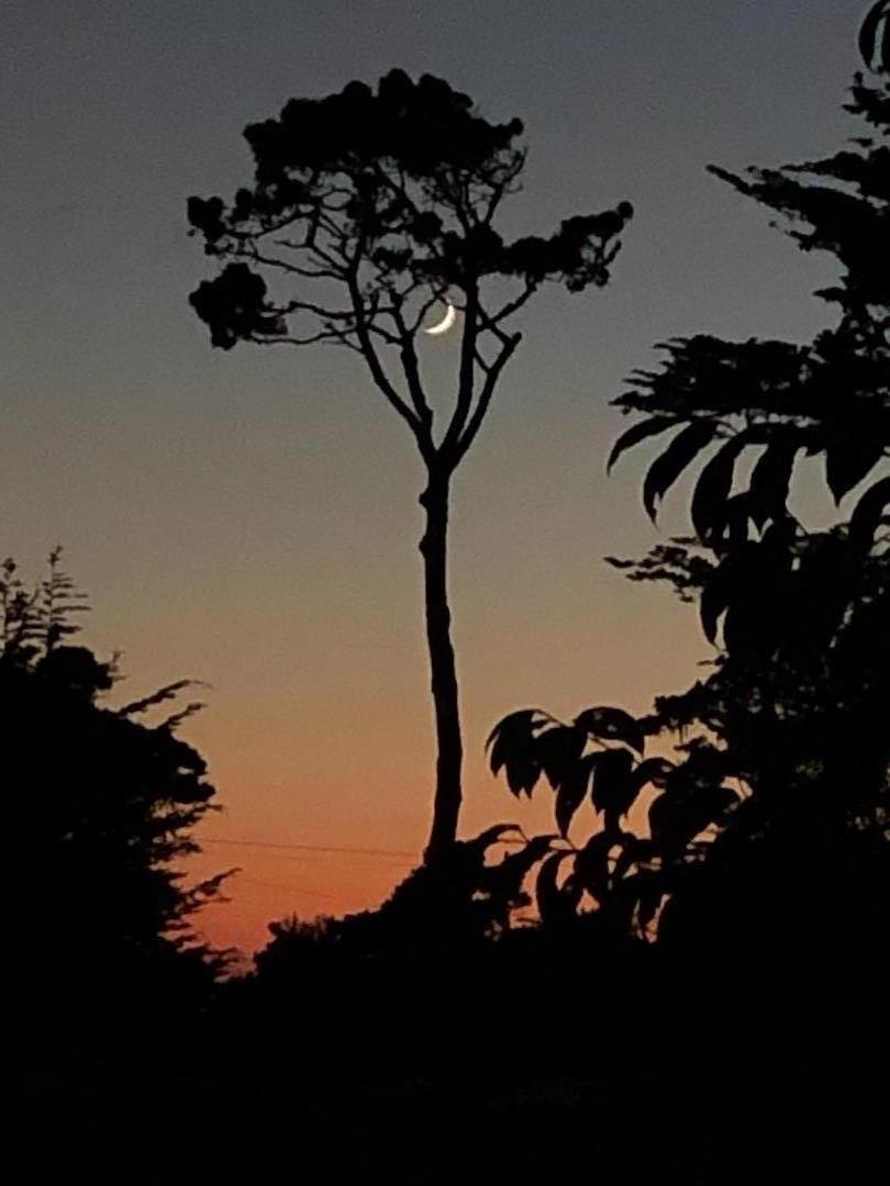 Detail Gallery Image 27 of 28 For 306 Crocker Ave, Pacific Grove,  CA 93950 - 3 Beds | 2 Baths