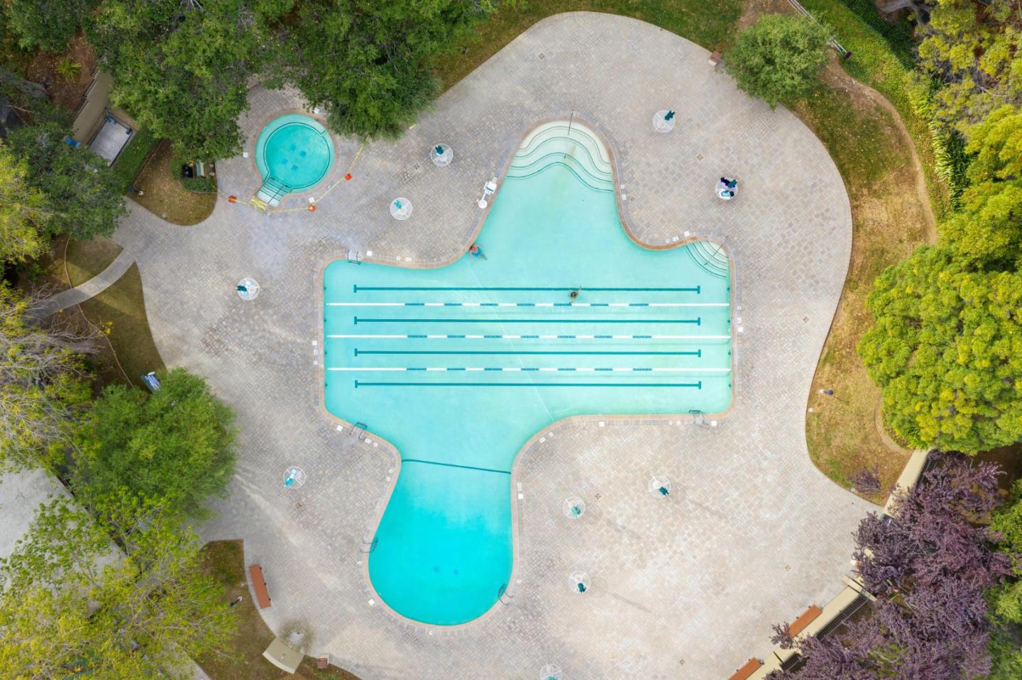 Detail Gallery Image 21 of 39 For 835 N Humboldt St #203,  San Mateo,  CA 94401 - 1 Beds | 1 Baths