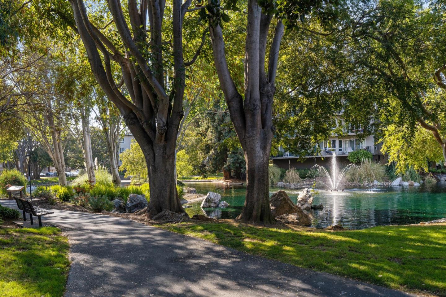 Detail Gallery Image 31 of 39 For 835 N Humboldt St #203,  San Mateo,  CA 94401 - 1 Beds | 1 Baths