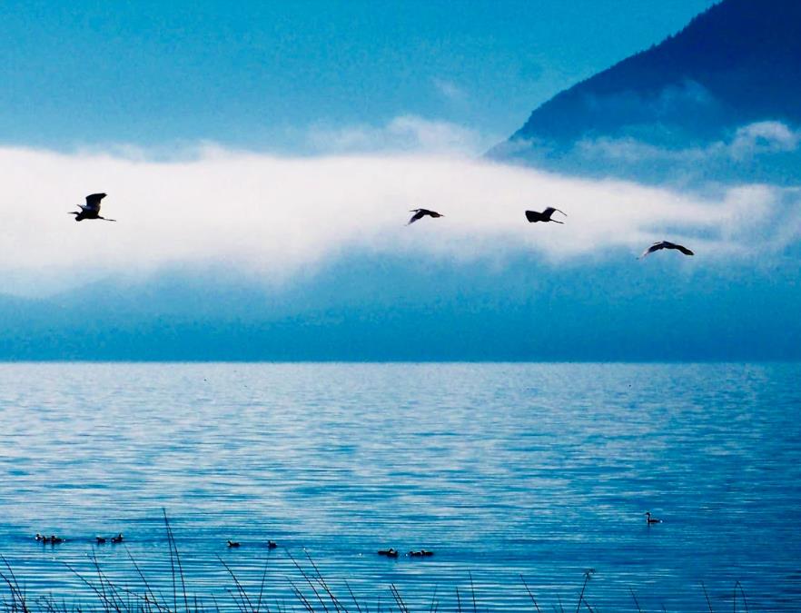 Detail Gallery Image 23 of 29 For 6726 Lakeshore Blvd, Lucerne,  CA 95458 - 3 Beds | 1 Baths