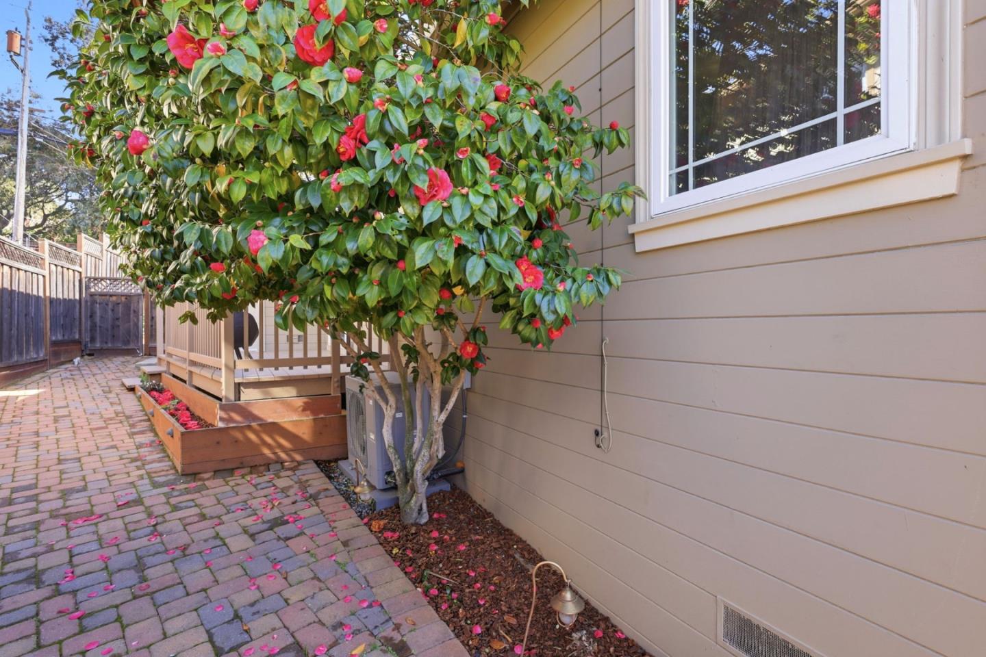 Detail Gallery Image 36 of 46 For 2404 Cipriani Blvd, Belmont,  CA 94002 - 3 Beds | 1 Baths