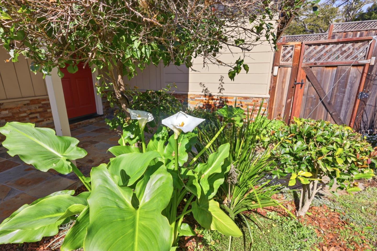 Detail Gallery Image 6 of 46 For 2404 Cipriani Blvd, Belmont,  CA 94002 - 3 Beds | 1 Baths