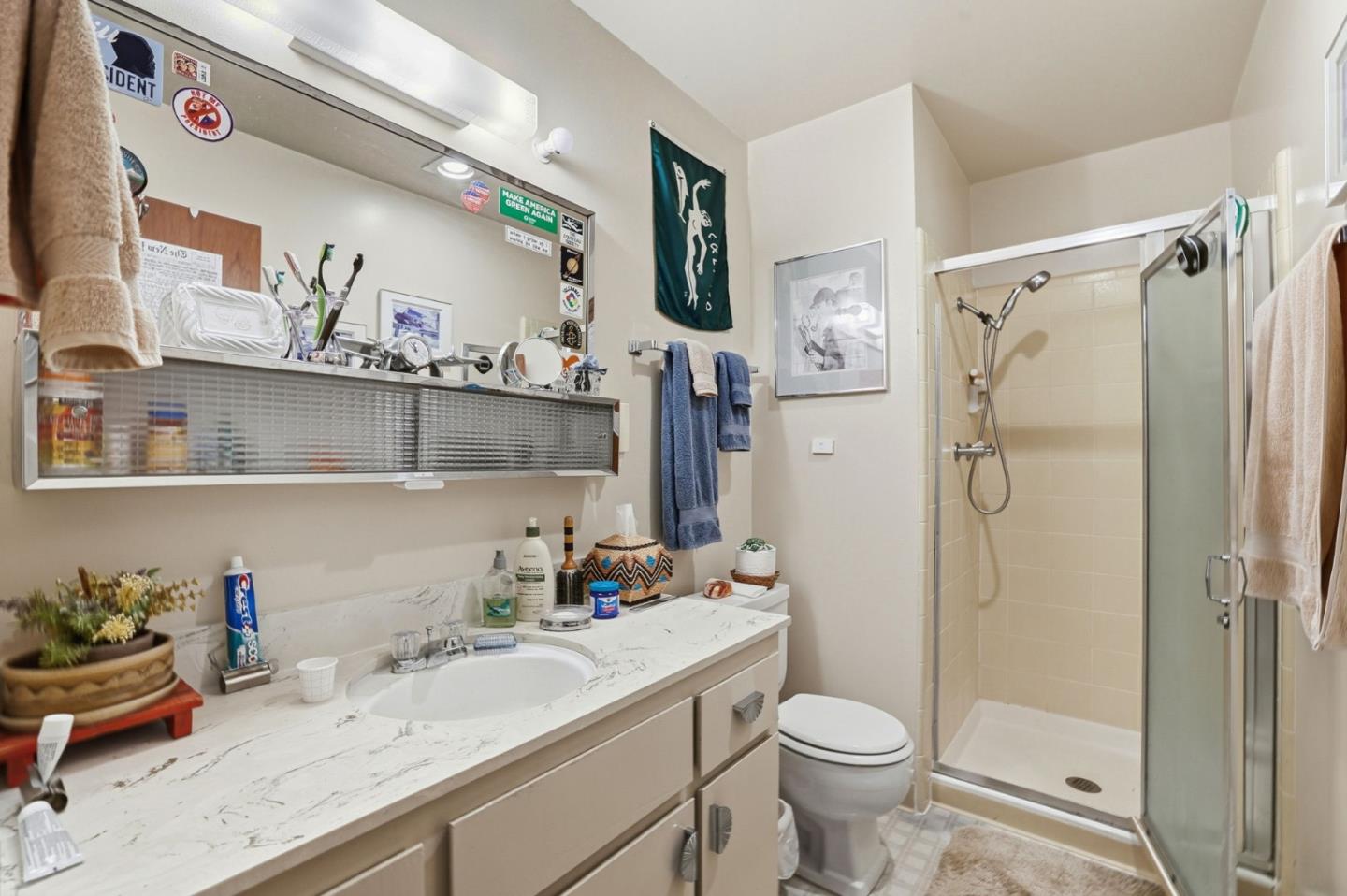 Castro, Mountain View, CA, 94040