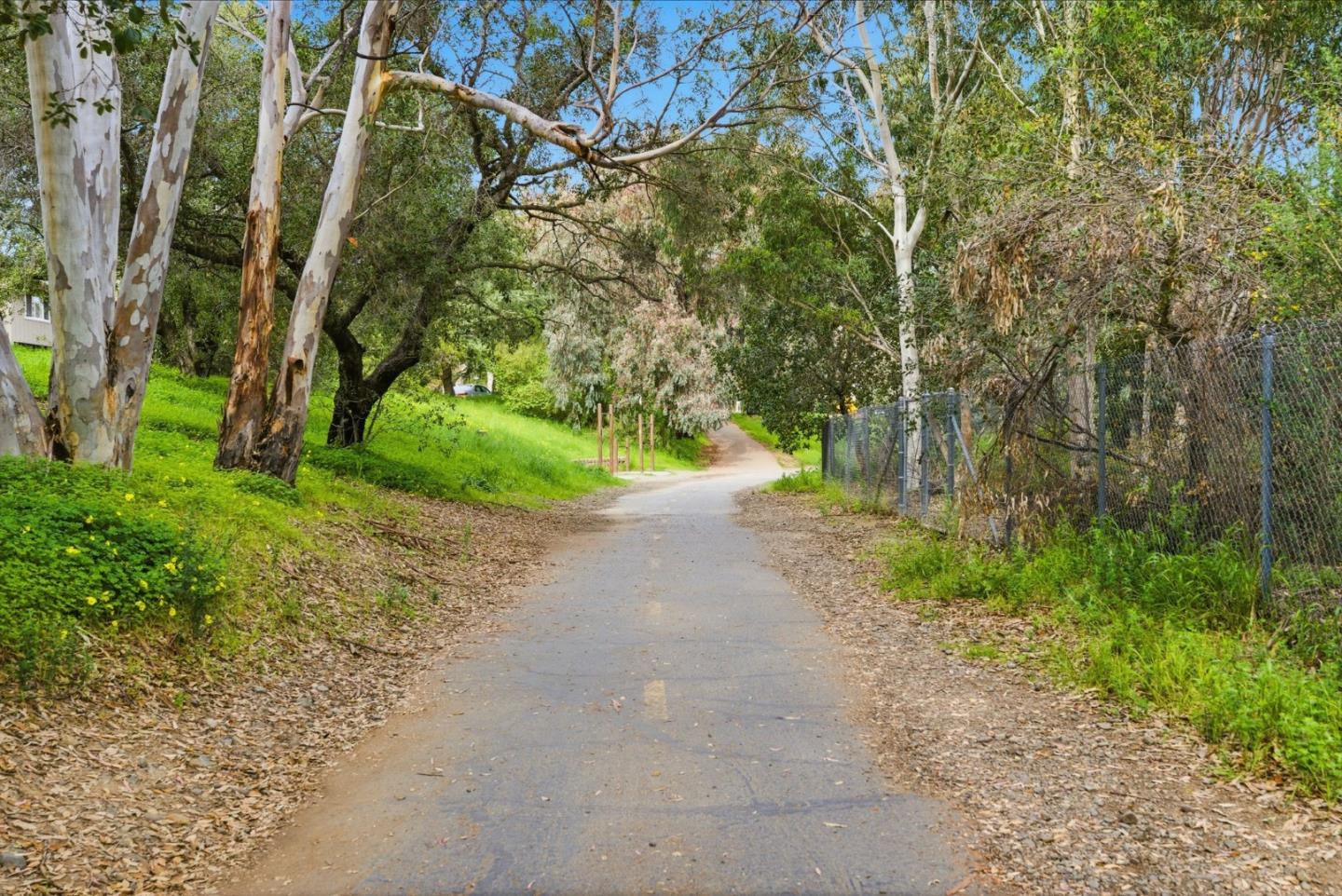 Detail Gallery Image 42 of 54 For 104 Walnut Hill Ct, Los Gatos,  CA 95032 - 3 Beds | 2/1 Baths