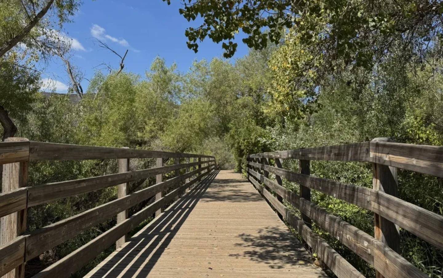 Detail Gallery Image 44 of 54 For 104 Walnut Hill Ct, Los Gatos,  CA 95032 - 3 Beds | 2/1 Baths