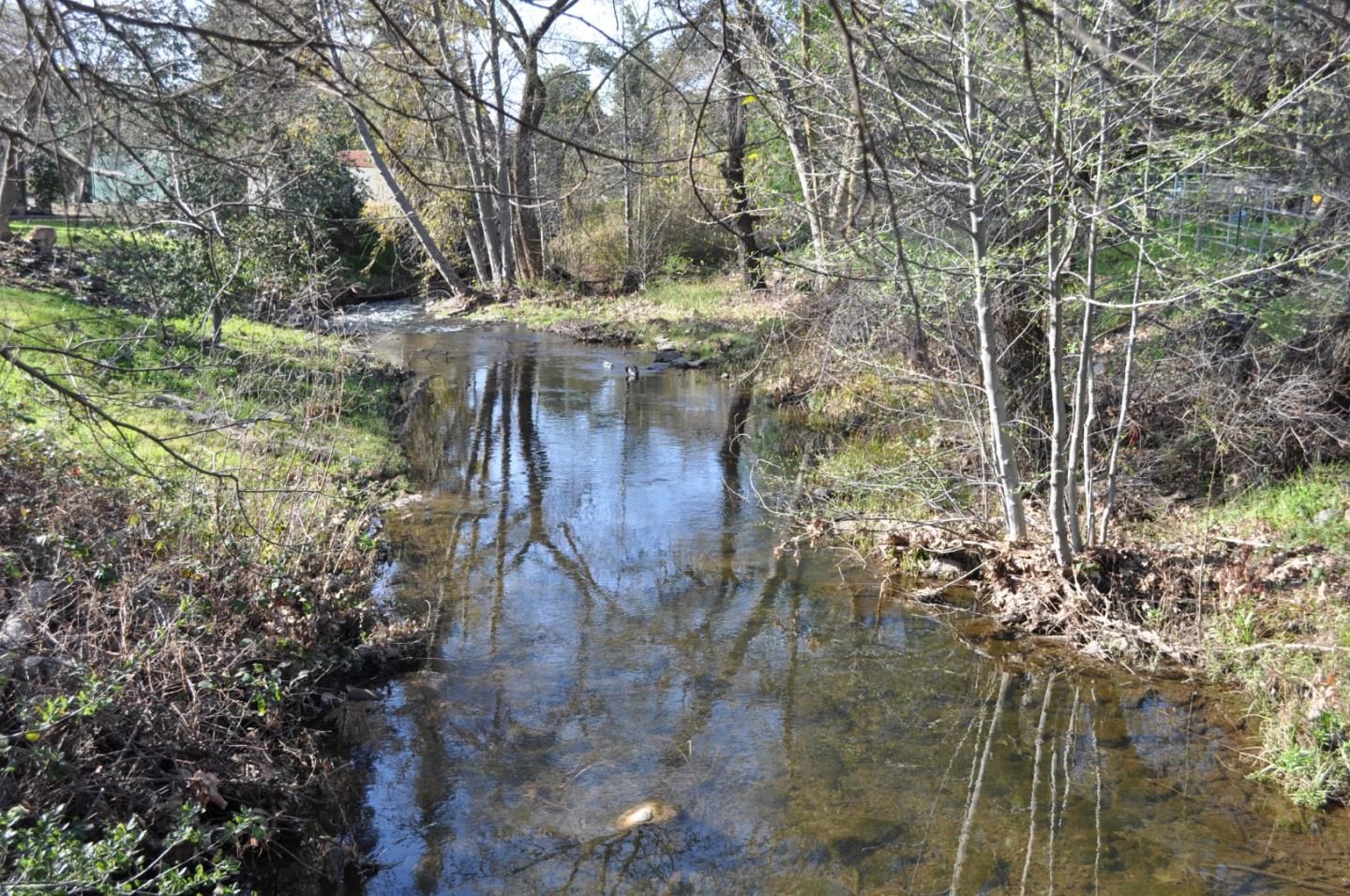 Detail Gallery Image 12 of 30 For 20300 Almaden Rd, San Jose,  CA 95120 - – Beds | – Baths