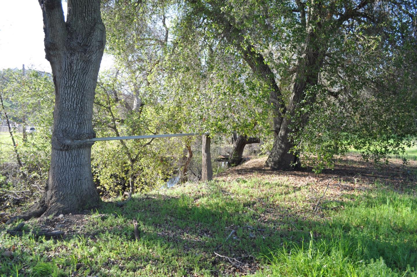 Detail Gallery Image 17 of 30 For 20300 Almaden Rd, San Jose,  CA 95120 - – Beds | – Baths