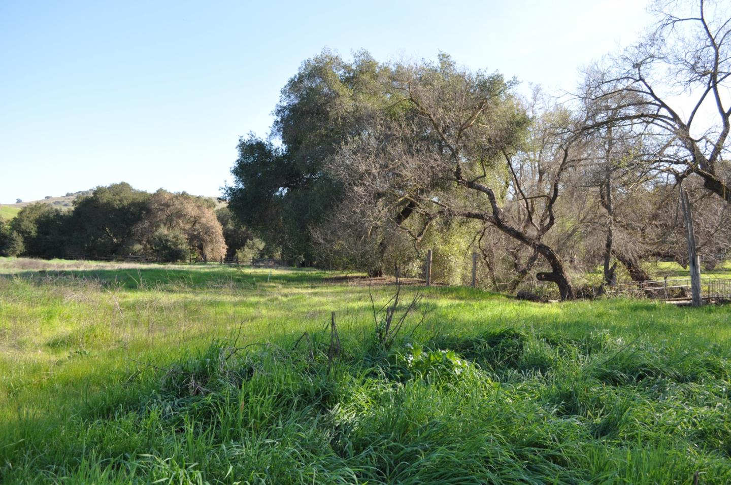 Detail Gallery Image 20 of 30 For 20300 Almaden Rd, San Jose,  CA 95120 - – Beds | – Baths