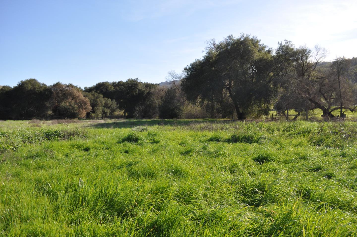 Detail Gallery Image 21 of 30 For 20300 Almaden Rd, San Jose,  CA 95120 - – Beds | – Baths