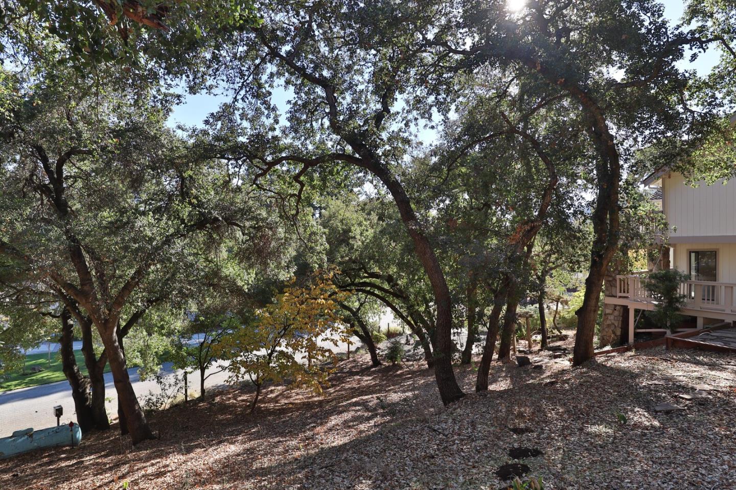 Detail Gallery Image 90 of 98 For 16669 Walter Breton Dr, Morgan Hill,  CA 95037 - 4 Beds | 3 Baths