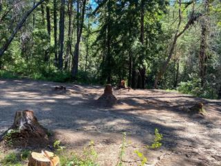 Detail Gallery Image 10 of 21 For 17000 Bear Creek Rd, Boulder Creek,  CA 95006 - – Beds | – Baths