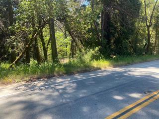 Detail Gallery Image 12 of 21 For 17000 Bear Creek Rd, Boulder Creek,  CA 95006 - – Beds | – Baths