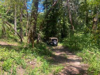 Detail Gallery Image 16 of 21 For 17000 Bear Creek Rd, Boulder Creek,  CA 95006 - – Beds | – Baths