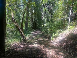 Detail Gallery Image 19 of 21 For 17000 Bear Creek Rd, Boulder Creek,  CA 95006 - – Beds | – Baths