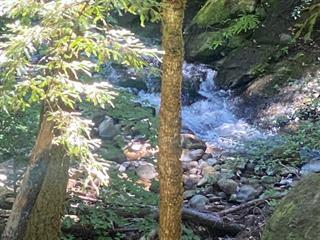 Detail Gallery Image 20 of 21 For 17000 Bear Creek Rd, Boulder Creek,  CA 95006 - – Beds | – Baths