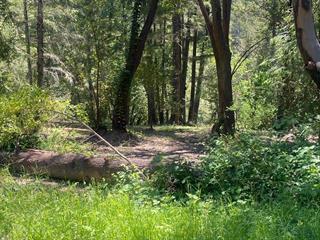 Detail Gallery Image 21 of 21 For 17000 Bear Creek Rd, Boulder Creek,  CA 95006 - – Beds | – Baths