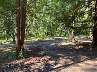 Detail Gallery Image 7 of 21 For 17000 Bear Creek Rd, Boulder Creek,  CA 95006 - – Beds | – Baths