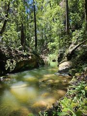 Detail Gallery Image 9 of 21 For 17000 Bear Creek Rd, Boulder Creek,  CA 95006 - – Beds | – Baths