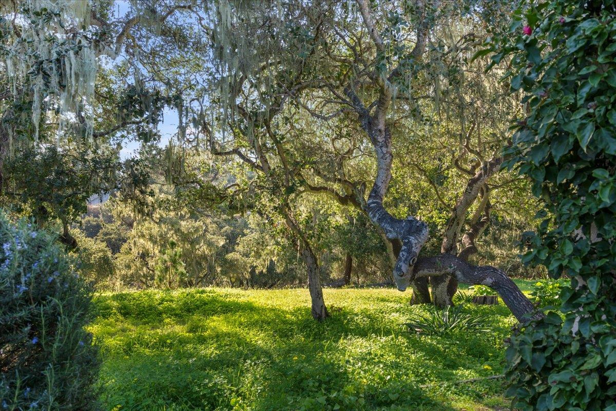 Detail Gallery Image 27 of 30 For 43 Montsalas Dr, Monterey,  CA 93940 - 2 Beds | 2 Baths