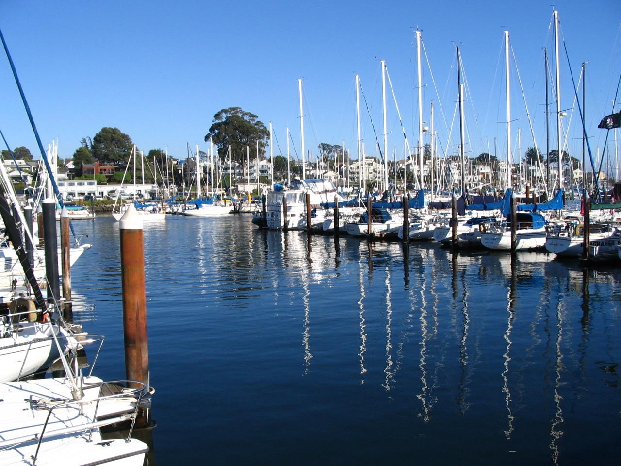 Detail Gallery Image 45 of 50 For 222 Seaview Ave, Santa Cruz,  CA 95062 - 3 Beds | 2 Baths