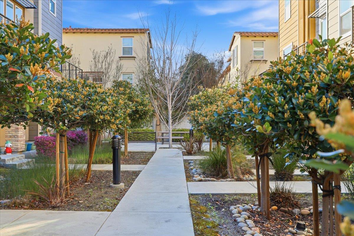 Detail Gallery Image 50 of 64 For 381 Charles Morris Ter, Sunnyvale,  CA 94085 - 4 Beds | 3 Baths