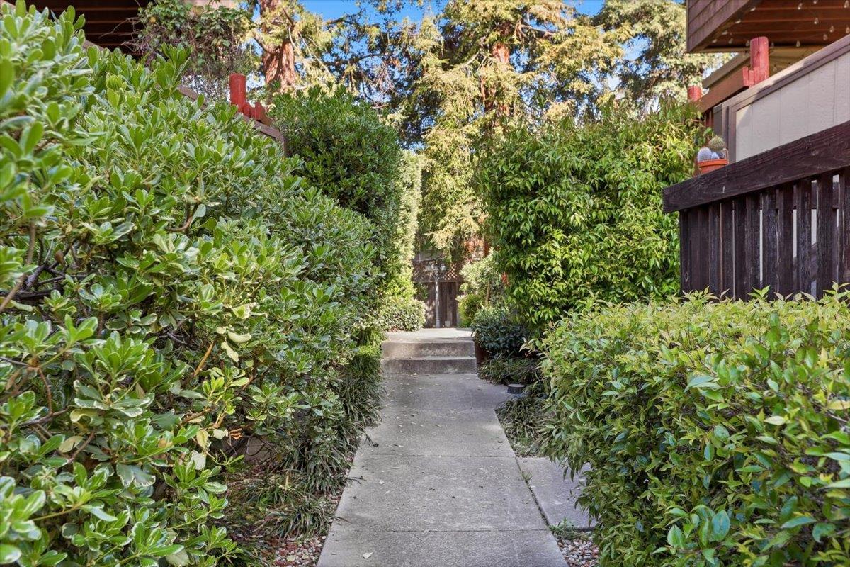 Photo #42: ML82034508 Listing: Photo #42