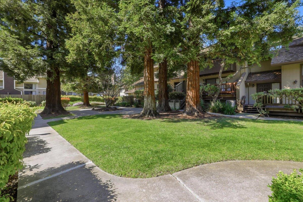 Photo #43: ML82034508 Listing: Photo #43