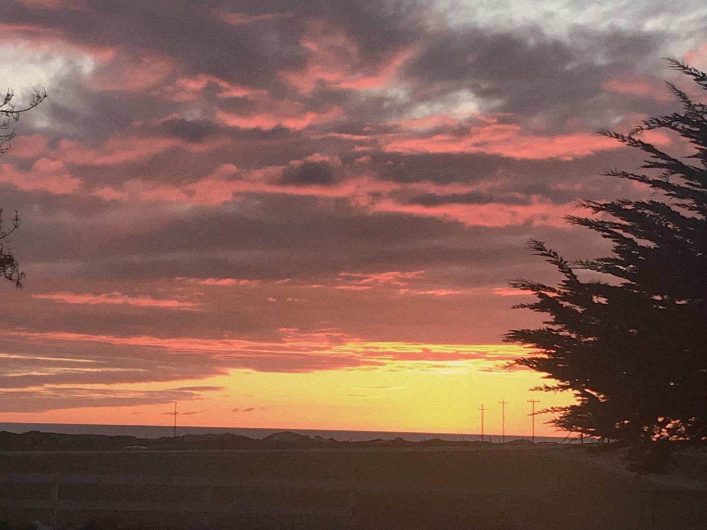 Front Image Thumbnail for ML82034527